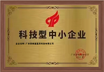 科技型中小企业